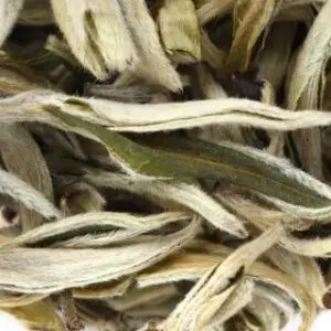 China Snow Bud - Thumbnail Image 2